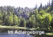 adlergebirge03.jpg (6459 Byte)